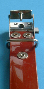 locking buckle