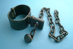 [ Kapselschelle - Cup Lock Shackle ]