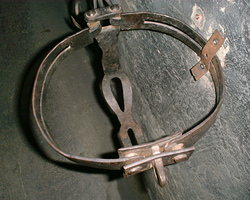 chastity belt